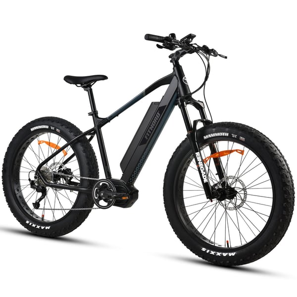 FitNord Rumble 1000S Elfatbike