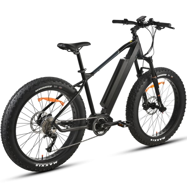 FitNord Rumble 1000S Elfatbike