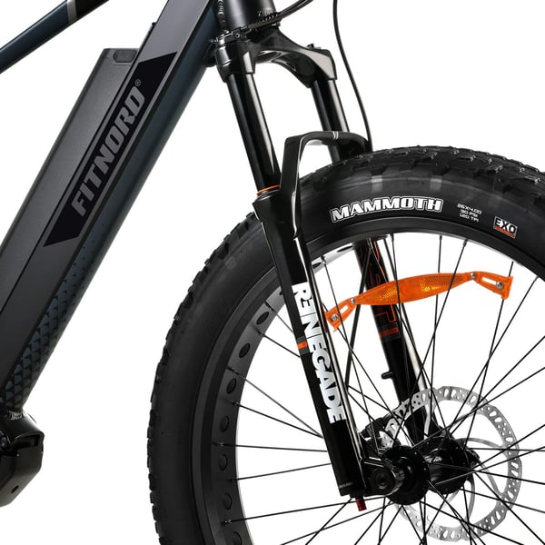 FitNord Rumble 1000S Elfatbike