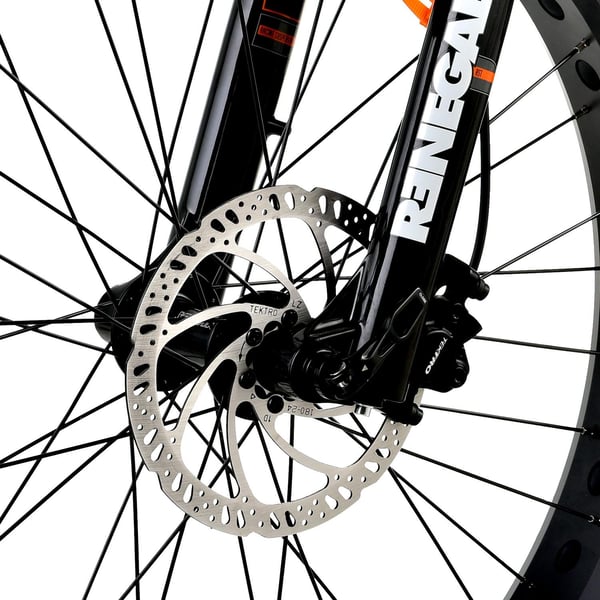 FitNord Rumble 1000S Elfatbike