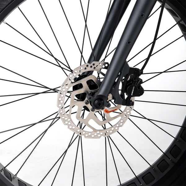 FitNord Rumble 300 Elfatbike G2, svart
