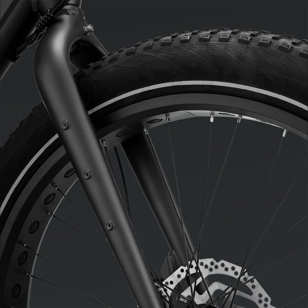 FitNord Rumble 300 Elfatbike 2024, svart (720 Wh batteri)