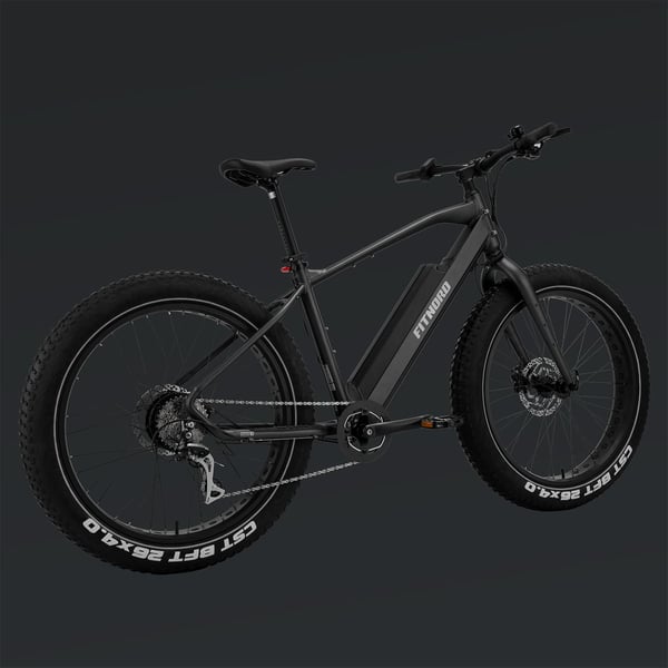 FitNord Rumble 300 Elfatbike 2024, svart (720 Wh batteri)