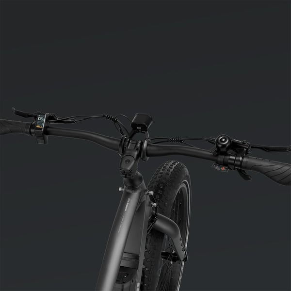 FitNord Rumble 300 Elfatbike 2024, svart (720 Wh batteri)