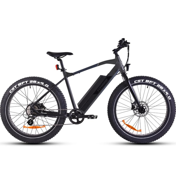 Fitnord Rumble 300 Elfatbike