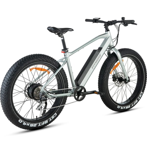 FitNord Rumble 300 Elfatbike, mintgrön (720 Wh batteri)  med ytterligare ett års garanti