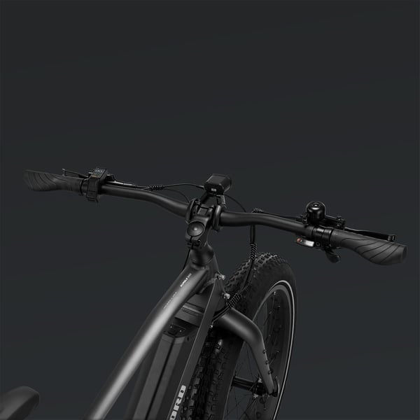 FitNord Rumble 500 Elfatbike 2024, svart (720 Wh batteri)