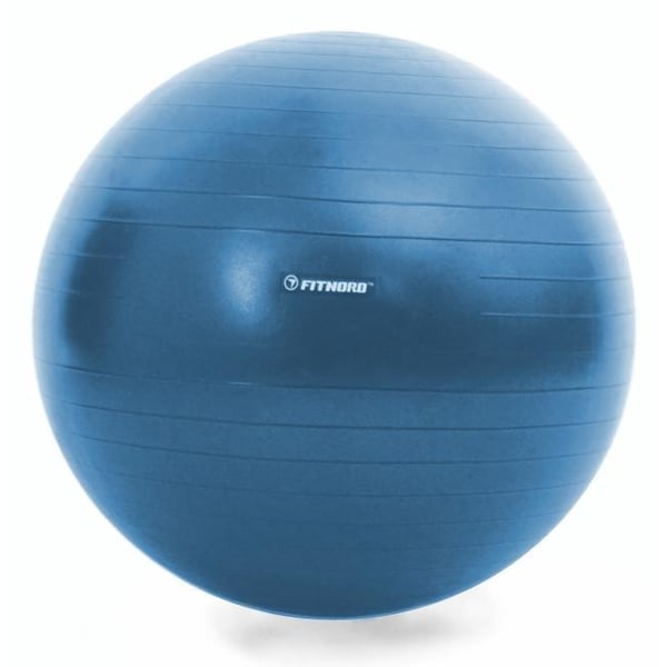 FitNord Pilatesboll 55cm