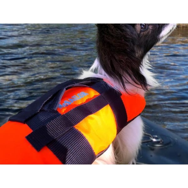 Flytväst till hund 40+ kg, McSailor