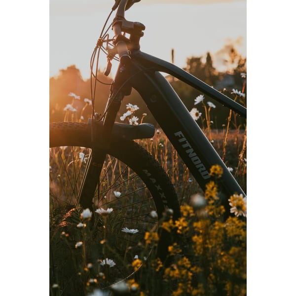 FitNord Ranger 900 Elmountainbike G2, svart