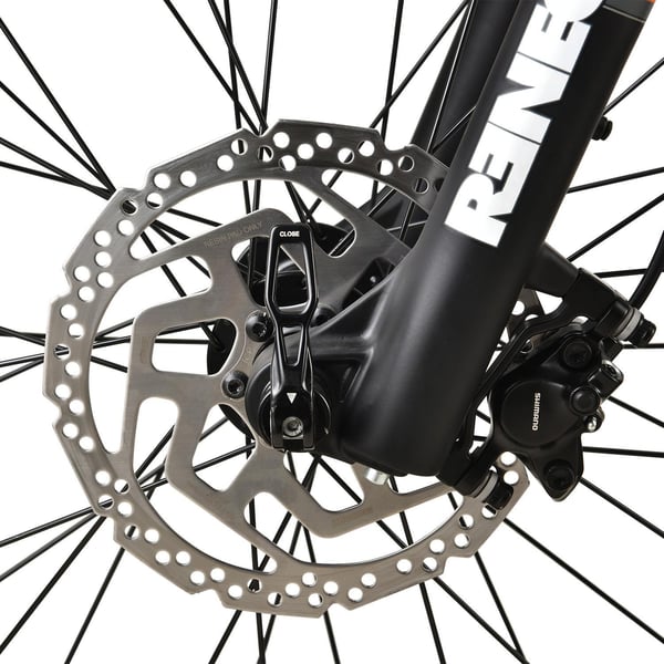 FitNord Rumble 1000 Elfatbike 2023, mintgrön (882 Wh batteri)