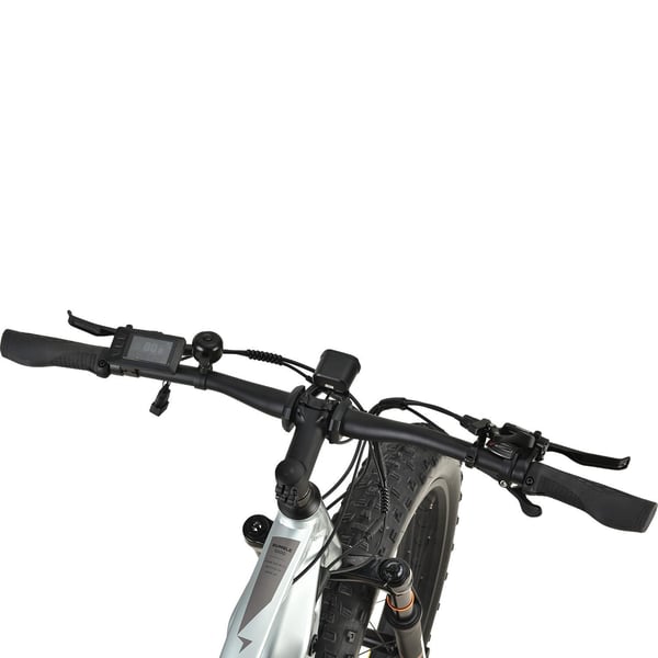 FitNord Rumble 1000 Elfatbike 2023, mintgrön (882 Wh batteri)