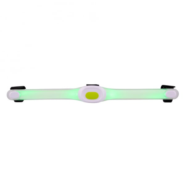 LED-ljus för hundhalsband Maxi