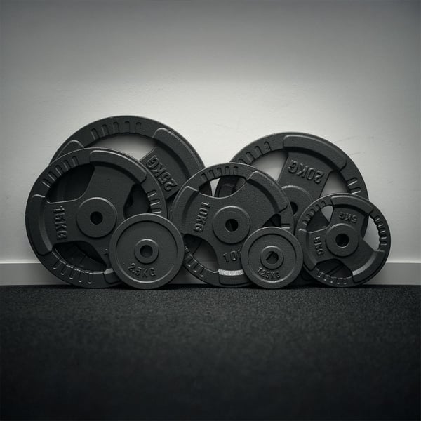 FitNord Viktskiva med grepp 30 mm, Gjutjärn 20 kg