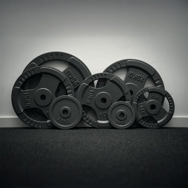 FitNord Viktskiva 30 mm, Gjutjärn 1,25 kg