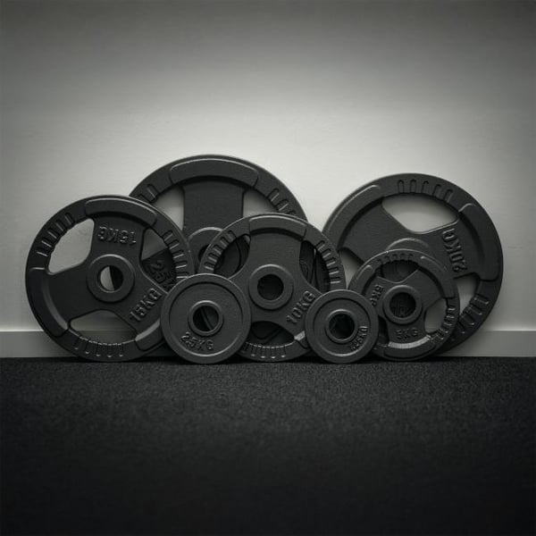 FitNord gjutjärn 50 mm viktplatta med grepp 5 kg