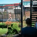 FitNord Bounce Studsmatta 366 cm 6