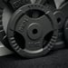 FitNord Viktskiva med grepp 30 mm, Gjutjärn 10 kg 2