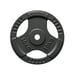 FitNord Viktskiva med grepp 30 mm, Gjutjärn 10 kg 1