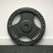 FitNord Viktskiva med grepp 30 mm, Gjutjärn 10 kg 3