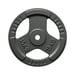 FitNord Viktskiva med grepp 30 mm, Gjutjärn 15 kg 1