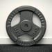 FitNord Viktskiva med grepp 30 mm, Gjutjärn 15 kg 3