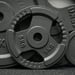 FitNord Viktskiva med grepp 30 mm, Gjutjärn 5 kg 2