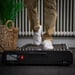 FitNord SlimWalk One Hopfällbart Gåband / Walkingpad 5