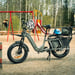 FitNord Cargo 350 Longtail Elcykel, grå 8