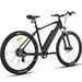 Fitnord Ranger 300 Elmountainbike