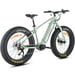 FitNord Rumble 900 Elfatbike, mintgrön (882 Wh batteri)  med ytterligare ett års garanti 5