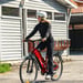 FitNord Ava 300 Elcykel G2, röd