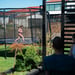 FitNord Bounce Studsmatta 366 cm 2025