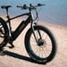 FitNord Rumble 300 Elfatbike 2024, svart (720 Wh batteri)