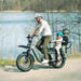 FitNord Cargo 350 Longtail Elcykel, grå
