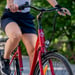 FitNord Classic 200 Elcykel, röd (540 Wh batteri)