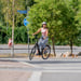 FitNord Classic 300 Elcykel, svart (504 Wh batteri)  med ytterligare ett års garanti
