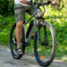 FitNord Ranger 200 Elmountainbike, mintgrön (540 Wh batteri)  med ytterligare ett års garanti