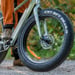 FitNord Rumble 300 Elfatbike, mintgrön (720 Wh batteri)  med ytterligare ett års garanti