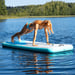 FitNord Aqua Float Badflotte 2,5 m x 90 cm