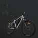 FitNord Ranger 200 Elmountainbike 2024, silver (540 Wh batteri)