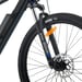 Fitnord Ranger 300 Elmountainbike