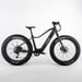 FitNord Rumble 300 Elfatbike G2, svart
