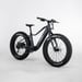 FitNord Rumble 300 Elfatbike G2, svart