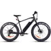 Fitnord Rumble 300 Elfatbike