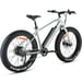 FitNord Rumble 300 Elfatbike, mintgrön (720 Wh batteri)  med ytterligare ett års garanti