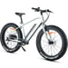 FitNord Rumble 300 Elfatbike, mintgrön (720 Wh batteri)  med ytterligare ett års garanti