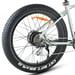FitNord Rumble 300 Elfatbike, mintgrön (720 Wh batteri)  med ytterligare ett års garanti