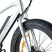 FitNord Rumble 300 Elfatbike, mintgrön (720 Wh batteri)  med ytterligare ett års garanti