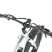 FitNord Rumble 300 Elfatbike, mintgrön (720 Wh batteri)  med ytterligare ett års garanti
